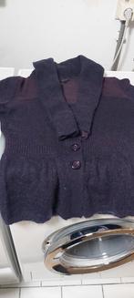 Wollen vest met 2 bijpassende shirts ,Claudia Strater, mt40, Ophalen of Verzenden, Zo goed als nieuw, Maat 38/40 (M), Paars
