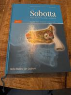 Sobotta Atlas Menselijke Anatomie Deel 1, Boeken, Ophalen of Verzenden, Beta, Zo goed als nieuw, HBO