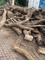 Ca 10 ton Eiken stamhout te koop. bijna droog, Tuin en Terras, Haardhout, Minder dan 3 m³, Ophalen of Verzenden, Overige houtsoorten