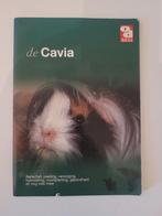 De Cavia - Alles over cavia's!, Ophalen of Verzenden, Gelezen, Konijnen of Knaagdieren, Over Dieren