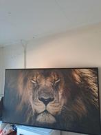 Grote leeuwen schilderij, Ophalen, 50 tot 75 cm, Zo goed als nieuw, Schilderij