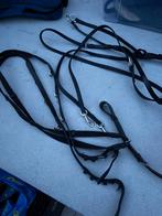 Thiedeman maat cob, Dieren en Toebehoren, Ophalen of Verzenden, Nieuw, Overige soorten