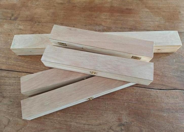 Biotensor/ Biosensor kistje, Boeken, Esoterie en Spiritualiteit, Nieuw, Spiritualiteit algemeen, Ophalen of Verzenden