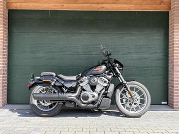 Harley Davidson Nightster 975 S SPECIAL - 2024 - 541 km (!) beschikbaar voor biedingen