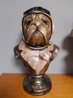 Borst beeld bull dog, Verzamelen, Beelden en Beeldjes, Ophalen of Verzenden, Zo goed als nieuw, Dier
