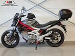 *VERKOCHT* SUZUKI SFV 650 GLADIUS (bj 2010), 2 cilinders, Bedrijf, Meer dan 35 kW, 645 cc