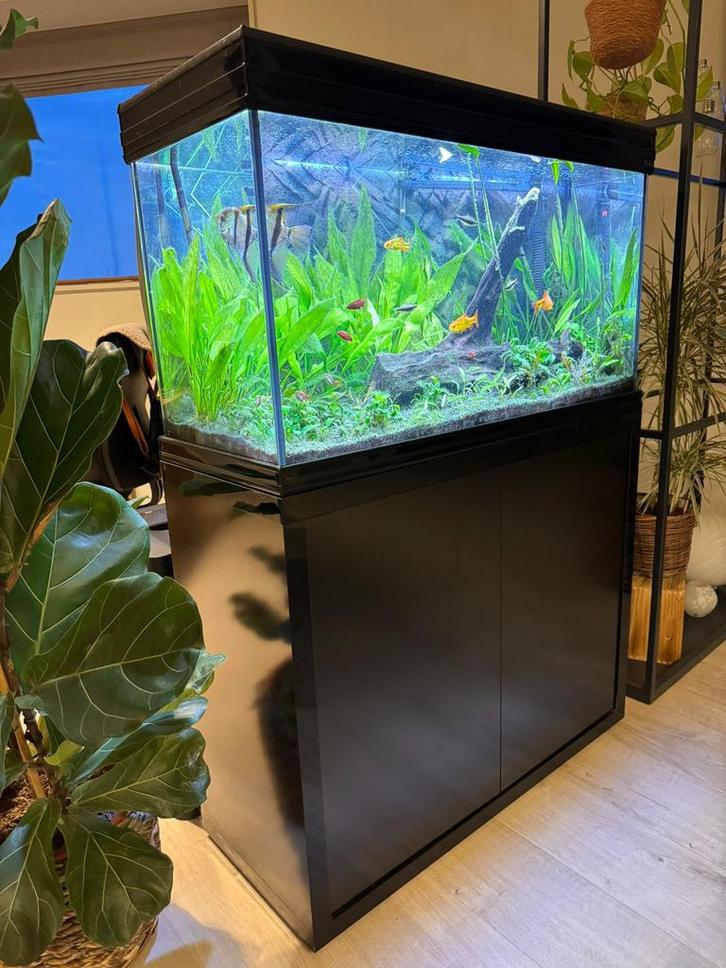 Aquatlantis Fusion 100 aquarium + meubel + meer!, Dieren en Toebehoren, Vissen | Aquaria en Toebehoren, Gebruikt, Gevuld zoetwateraquarium
