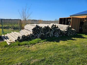 300 Vuren huuten palen gepunt Ø 14-16cm, 300cm lang beschikbaar voor biedingen
