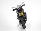 Harley-Davidson RA1250 Pan America (bj 2023), 1252 cc, Bedrijf, Meer dan 35 kW, Toermotor