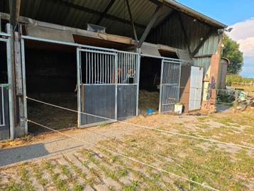 Baarn: te huur, 1 grote stal 4x5m, met paddock beschikbaar voor biedingen