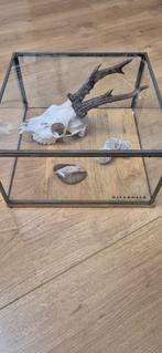 Riverdale Vitrine Box, Ophalen, Zo goed als nieuw