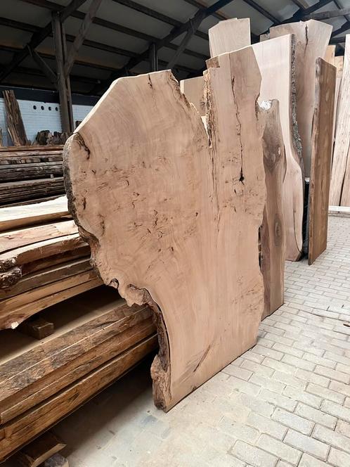 Uniek iep olijf wortel noten taxus kastanje berk moereik es, Doe-het-zelf en Verbouw, Hout en Planken, Nieuw, Plank, Minder dan 200 cm