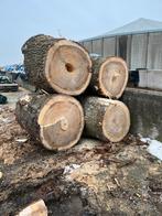 Grote stammen, Tuin en Terras, Haardhout, 6 m³ of meer, Ophalen, Stammen