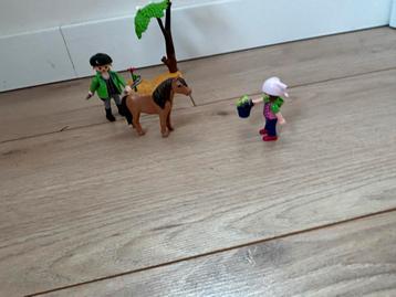 Playmobil Country Pony Verzorging 6949 beschikbaar voor biedingen