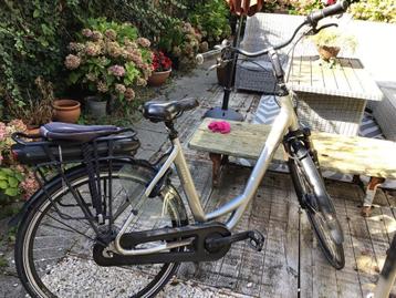 Stella E-bike Livorno beschikbaar voor biedingen