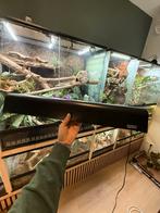 Exoterra - hardtop 45cm, Dieren en Toebehoren, Ophalen of Verzenden, Gebruikt