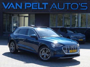 Audi E-tron E-tron 50 Quattro Launch edition plus 71 kWh / P beschikbaar voor biedingen