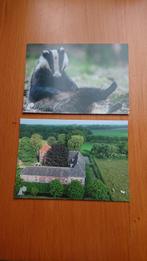 Ansichtkaart Brabants Landschap Das Boerderij Ree, Ongelopen, Ophalen, Noord-Brabant