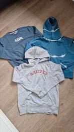 3 hoodies/sweater van Raizzed, Meisje, Trui of Vest, Ophalen of Verzenden, Raizzed