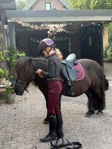 Pony ritje beschikbaar voor biedingen