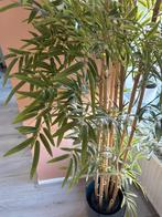MOVING SALE! Bamboo tree (not real), Ophalen of Verzenden