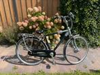 Mooie Gazelle Saphir goldline, Ophalen, Gebruikt, Versnellingen, 49 tot 53 cm
