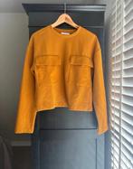 Zara Trui Oranje Maat S, Ophalen of Verzenden, Zo goed als nieuw, Maat 36 (S), Oranje