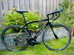 KOOPJE Full Carbon Wilier GTR Grandturismo Ultegra, Fietsen en Brommers, Fietsen | Racefietsen, Ophalen of Verzenden, Carbon, Meer dan 20 versnellingen