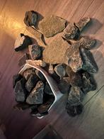 Aquarium decoratie, Amfibie, 0 tot 2 jaar