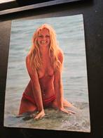 Pin up dame bloot, Ophalen of Verzenden