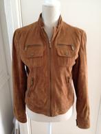 Massimo Dutti dames jasje suède, Kleding | Dames, Jassen | Winter, Massimo Dutti, Ophalen of Verzenden, Nieuw