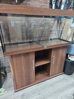 240l aquarium compleet, Dieren en Toebehoren, Vissen | Aquaria en Toebehoren, Ophalen, Zo goed als nieuw, Gevuld zoetwateraquarium