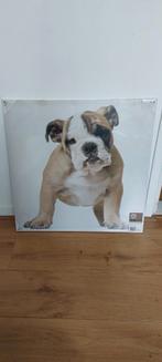 Canvas Engelse Bulldog, Ophalen, Nieuw