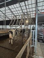 Krachtvoerboxen GM ID2000, Dieren en Toebehoren, Ophalen, Gebruikt