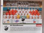 Knipsel SV Sandhausen, Verzenden, Gebruikt, Buitenlandse clubs, Poster, Plaatje of Sticker