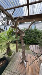 Javaboom / koffieboom, Ophalen, Overige typen