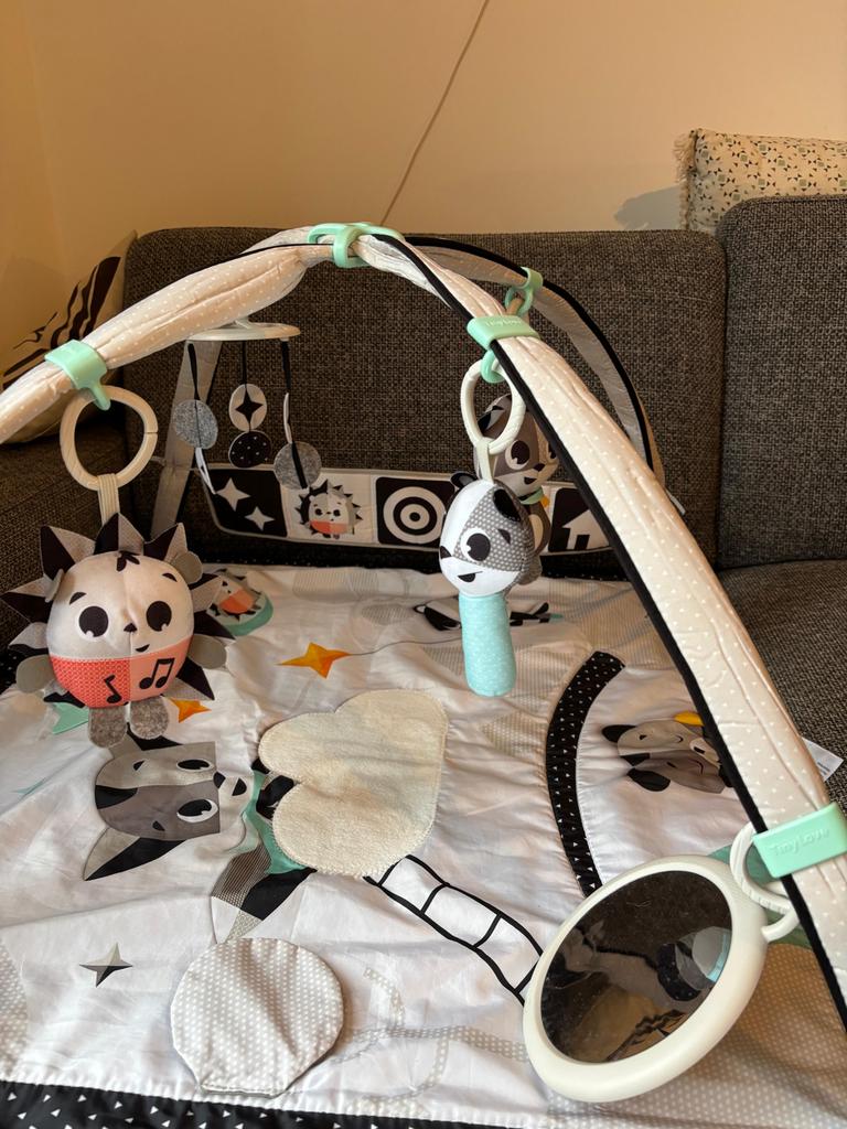 Leuke Babygym, Ophalen of Verzenden, Zo goed als nieuw, Babygym, Met geluid