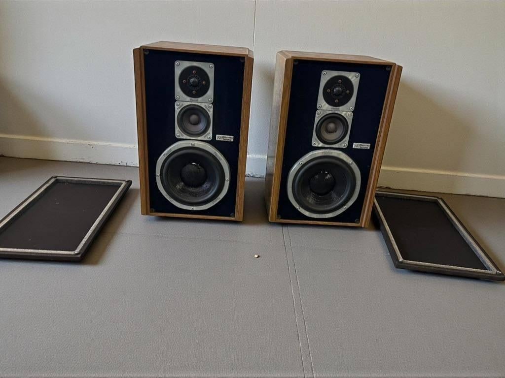 vintage set van 2 luidsprekers MAGNAT All Ribon 6, Ophalen, 120 watt of meer, Front, Rear of Stereo speakers, Magnat