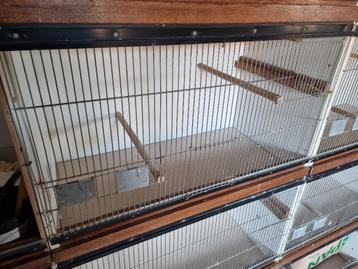 ** koopje ** vogelhok vogelkooi compleet verlichting  beschikbaar voor biedingen