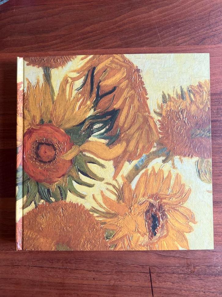 Van Gogh: De Schatten - Cornelia Homburg, Boeken, Kunst en Cultuur | Beeldend, Zo goed als nieuw, Schilder- en Tekenkunst, Ophalen of Verzenden