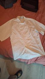 Koksbuis (kleine vlekje), Ophalen of Verzenden, Gedragen