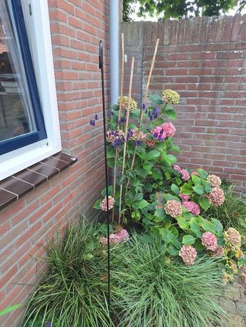 Herdershaken (14 stuks) beschikbaar voor biedingen