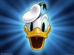 Complete Jaargang Donald Duck - 2022  - Vakantie tip, Eén stripboek, Ophalen of Verzenden, Zo goed als nieuw