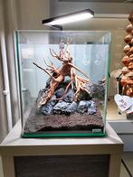 Dennerle nano cube 30L met toebehoren, Ophalen, Zo goed als nieuw