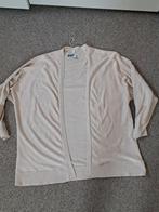 Beige vest miss etam, Ophalen of Verzenden, Zo goed als nieuw, Maat 46/48 (XL) of groter, Beige