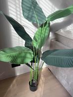 Strelitzia Decoratieve Kunstplant 160 cm, Ophalen of Verzenden, Zo goed als nieuw