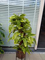 Kunstplant nieuw 110 cm, Ophalen of Verzenden, Zo goed als nieuw, Binnen