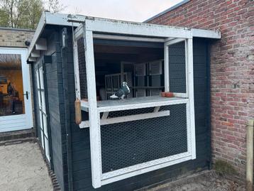 Donkerhok 8 voor binnen. beschikbaar voor biedingen