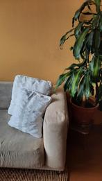 6 KUSSENHOEZEN / KUSSENOVERTREK voor sierkussens, Ophalen of Verzenden, Wit, Vierkant