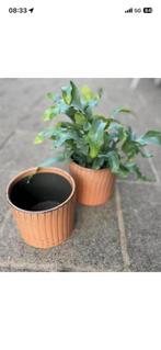 Bloempotten, Tuin en Terras, Bloempotten, Rond, Nieuw, Ophalen of Verzenden, Balkon